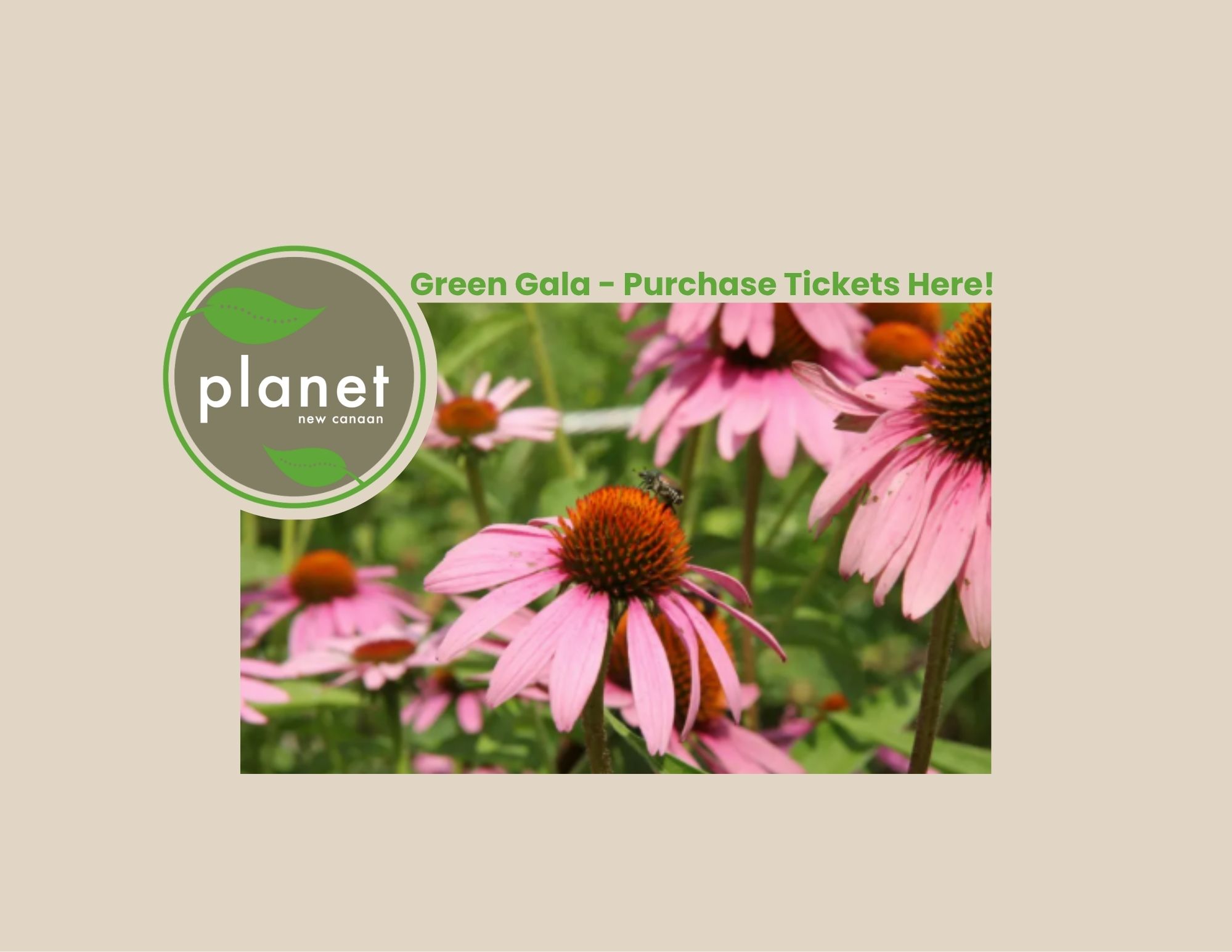 Planet NC Honors St. Mark’s at Gala