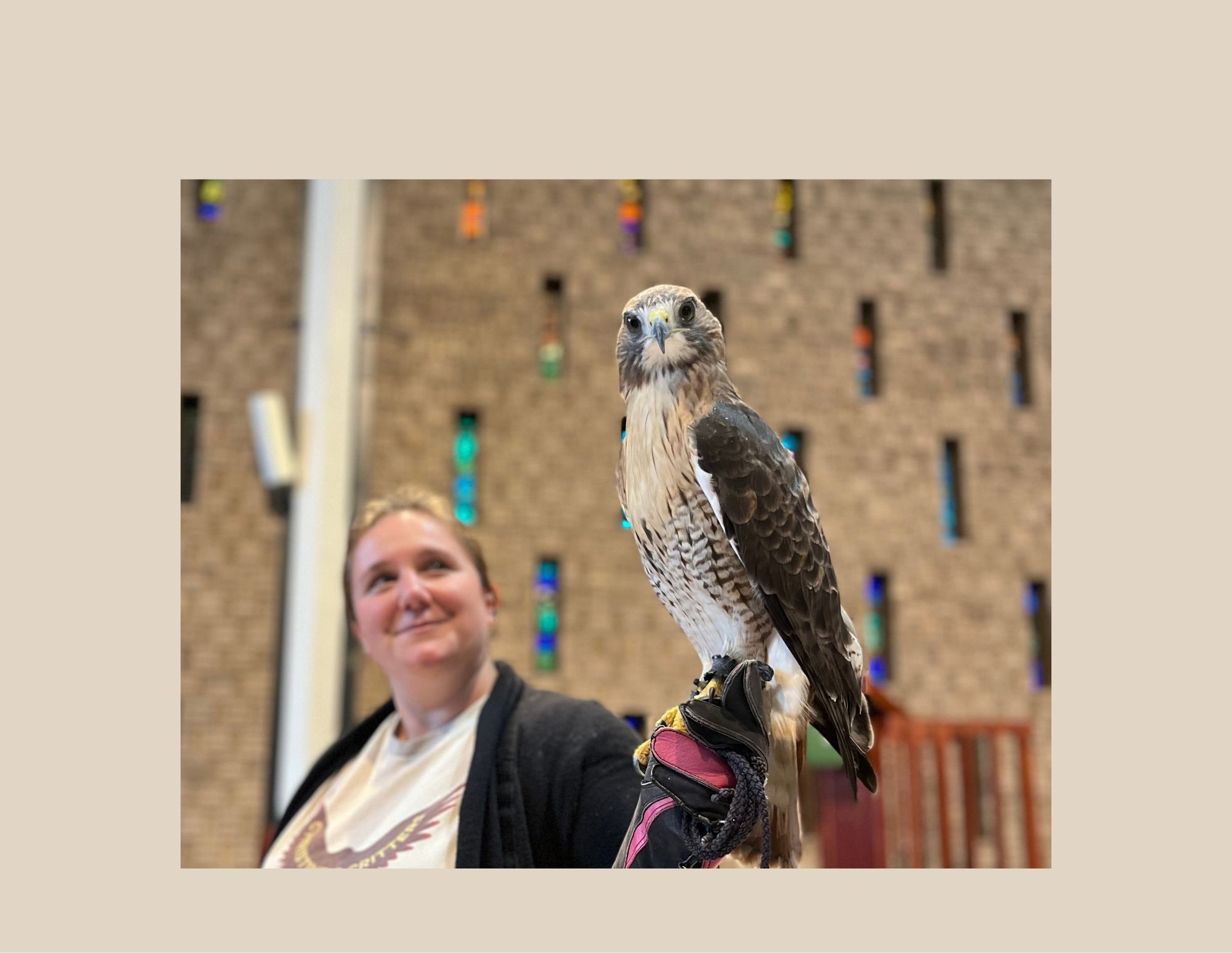 Church School Birds of Pray